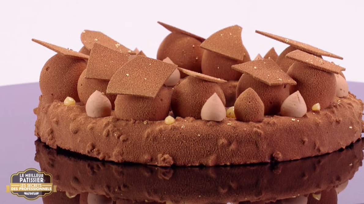 Replay Le Meilleur Patissier Professionnel Replay Le meilleur pâtissier - Les Professionnels, Les secrets des  Professionnels - Épisode 4 / Saison 2 du M6
