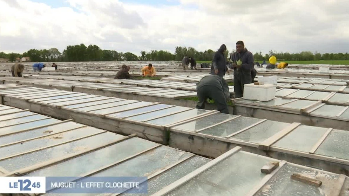 Replay Du 29 Avril 2019
