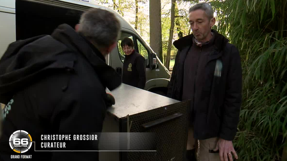 66 Minutes : Grand Format 66 Minutes : Grand Format Replay 66 Minutes, Grand format : Emission du 01 décembre du M6
