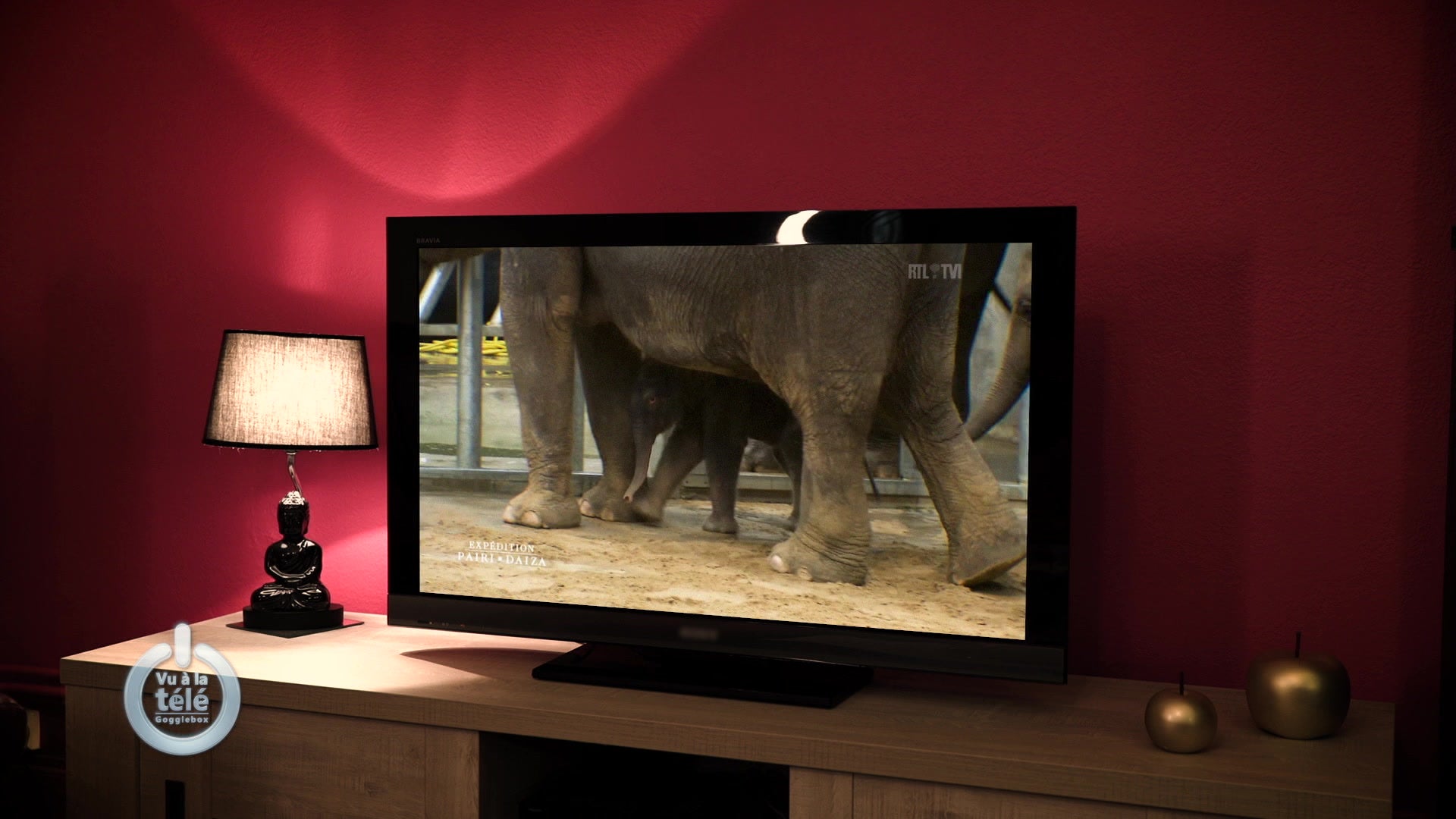 Vu A La Tele Sur Rtlplay Voir Les Episodes En Streaming Gratuit