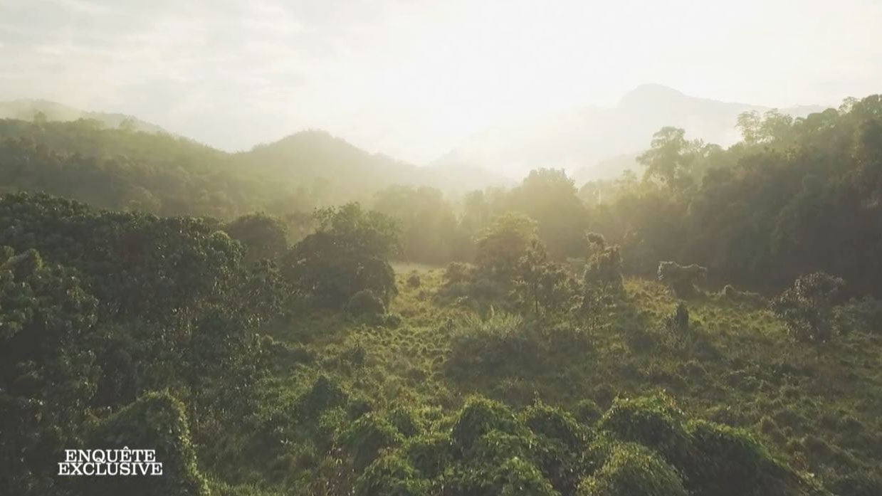 Enquête exclusive : Sri Lanka : le côté obscur d'un paradis 