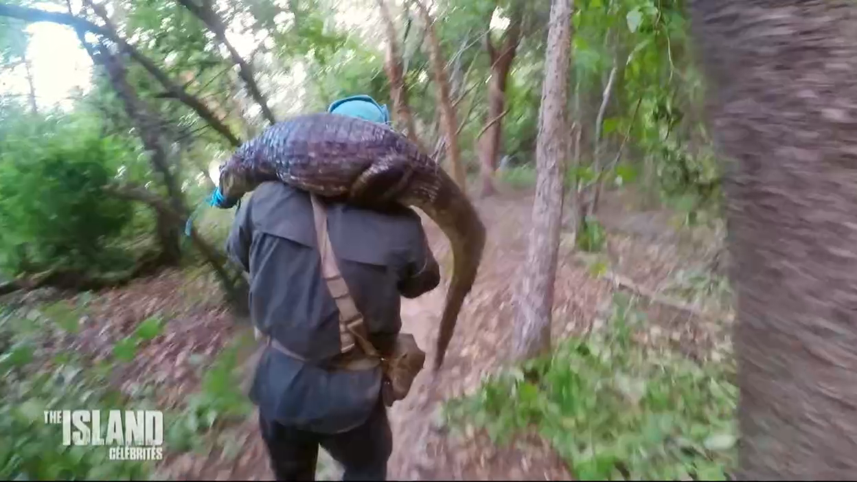 The Island : Gwendal capture un caïman !