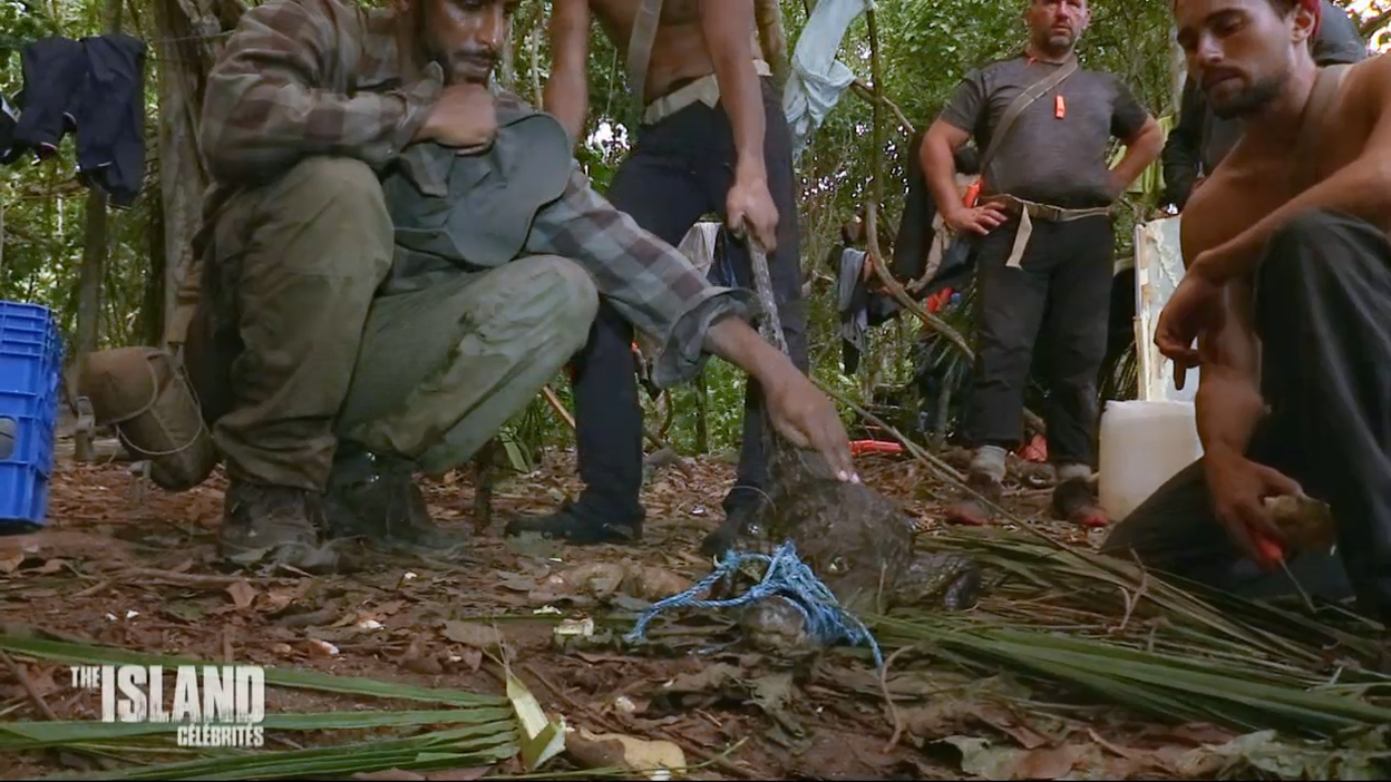 The Island : Mike Horn : "Pour manger, il faut parfois tuer !"