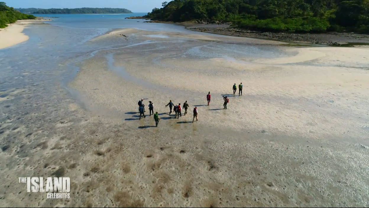 The Island : Les célébrités retrouvent la mangrove