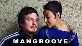 Mangroove en replay