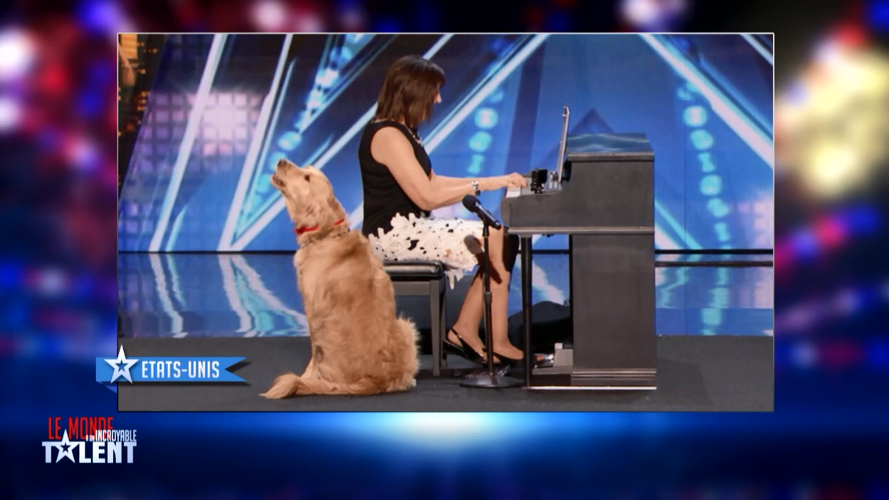 La France a un incroyable talent : Les incroyables duos de talents !