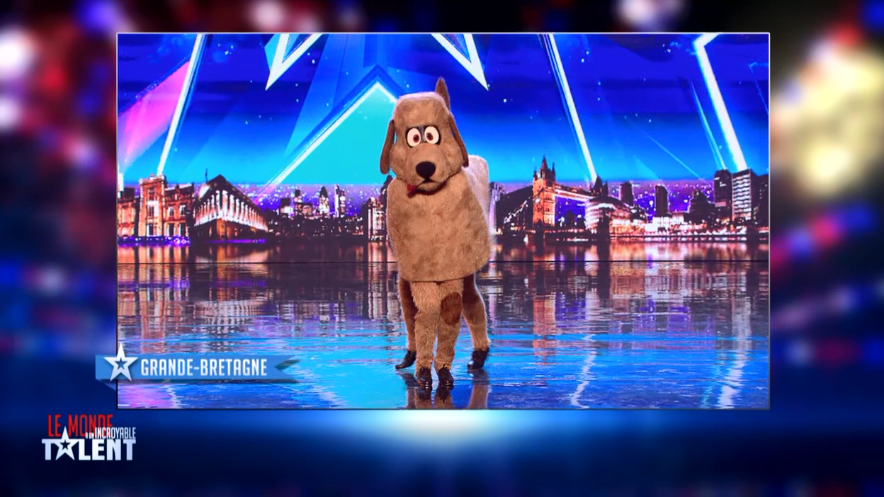La France a un incroyable talent : Les Incroyables talents qui se prennent pour des animaux !