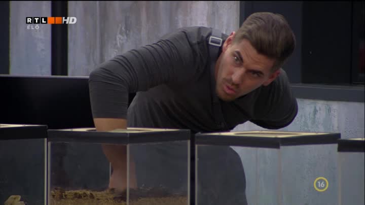 ValóVilág9 powered by Big Brother : ValóVilág9 81. rész