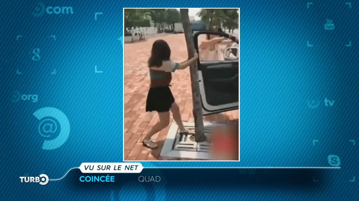 Turbo : Vu sur le net : une berline mal en point, un chien qui sait klaxonner et les avantages du quad