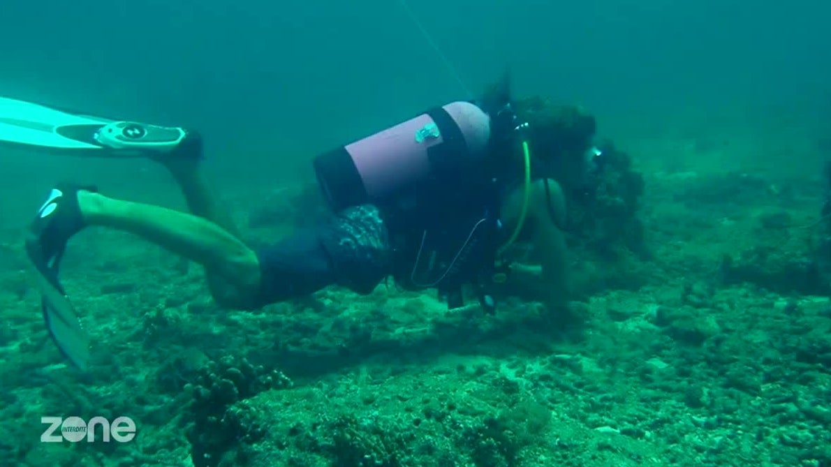 Zone interdite : Vivre et travailler sur une île au soleil : des Français réalisent leur rêve ! (2/2)