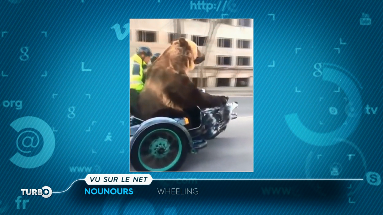 Turbo : Vu sur le net : réapprovisionner sa voiture électrique en essence, un ours dans un side-car...