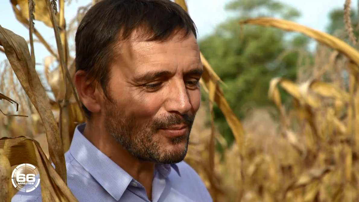 66 Minutes : 66' : Bébés secoués / Second souffle du popcorn/ Harcèlement scolaire/ Istanbul et greffe de cheveux