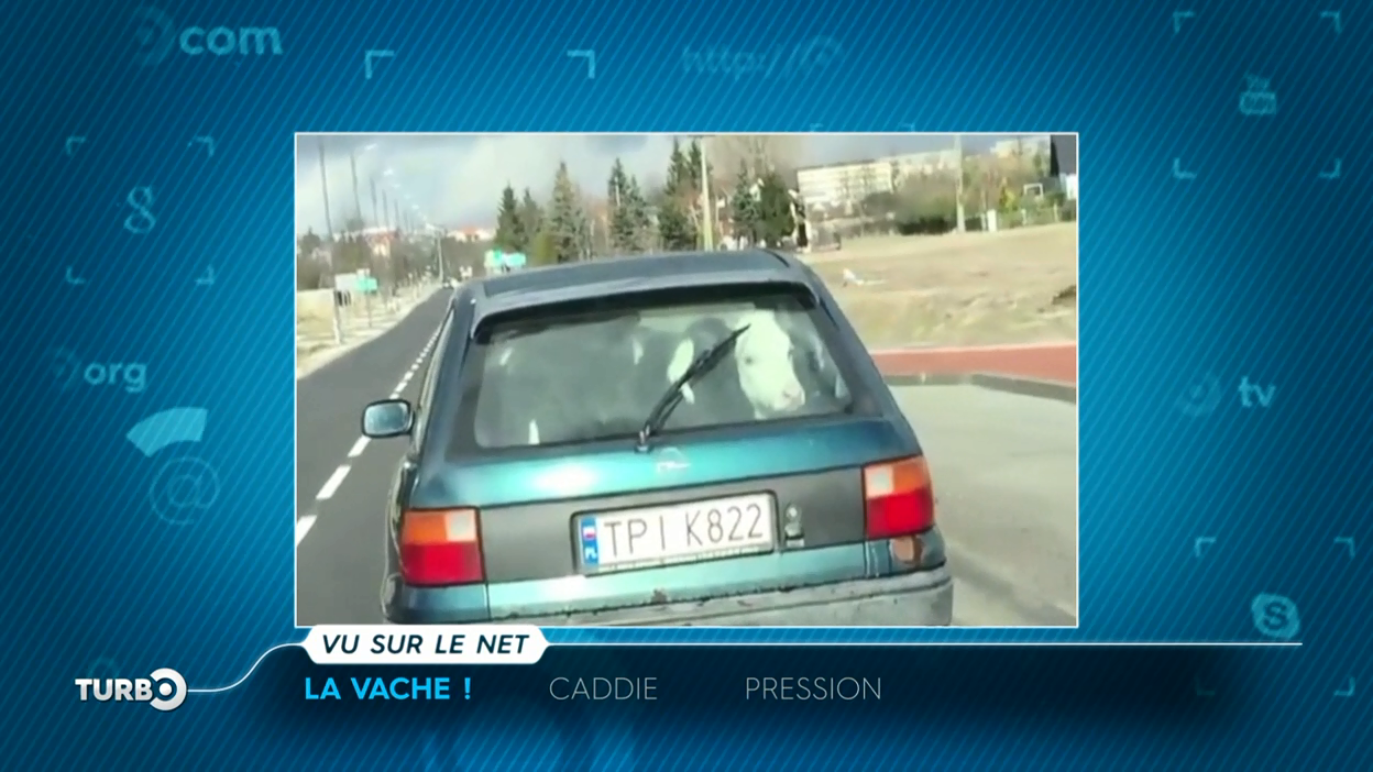 Turbo : Vu sur le net : les problèmes du créneau, un caddie motorisé...