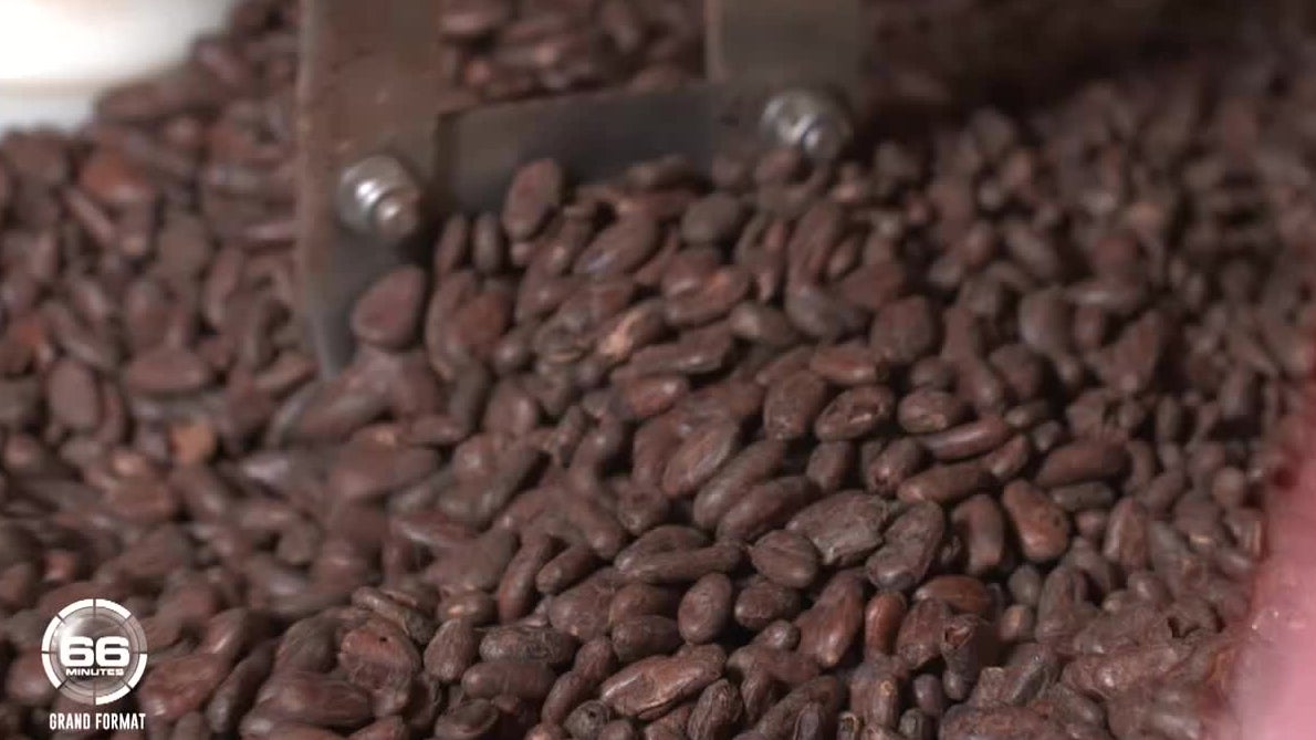 66 Minutes : Pâques : la bataille du chocolat