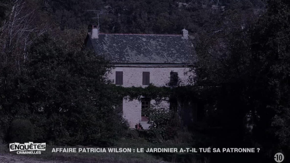 Enquêtes criminelles : Affaire Patricia Wilson : le jardinier a-t-il tué sa patronne ? / Déguisé pour tuer