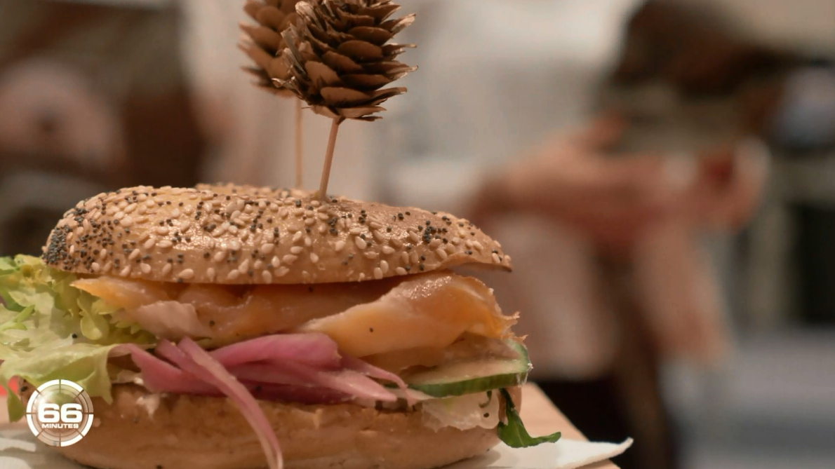 66 Minutes : 66' : Antidouleurs / Bagel / Mamie Chantal complice de meurtre ? / La course des fous