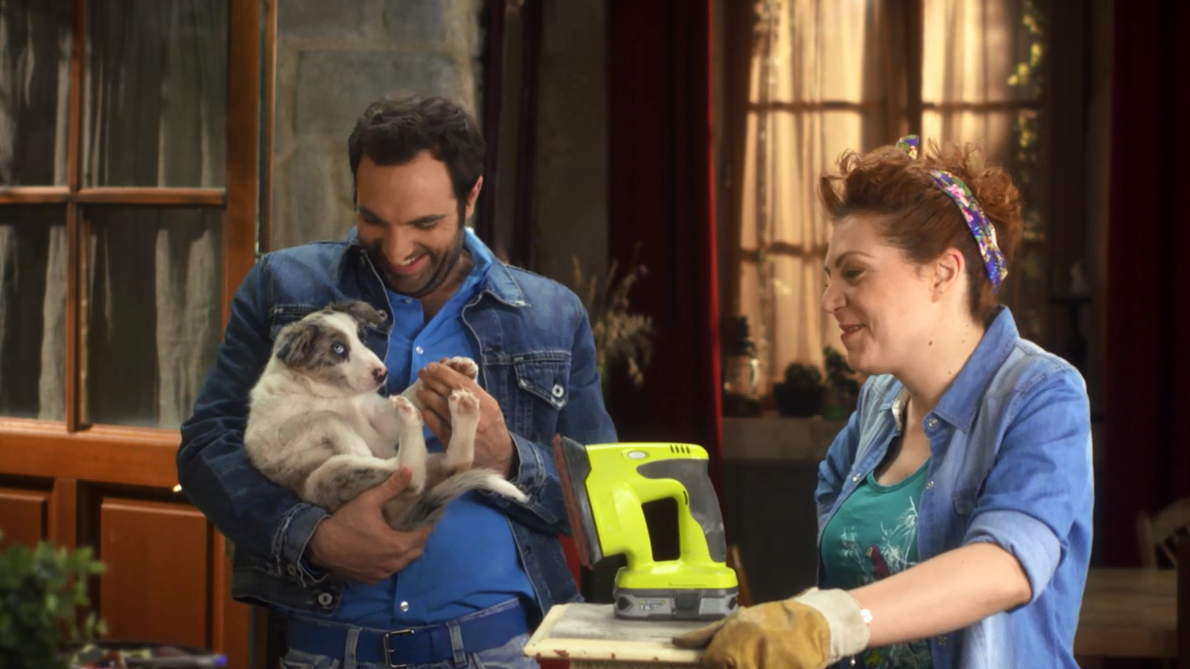 Best of 10 ans d'animaux