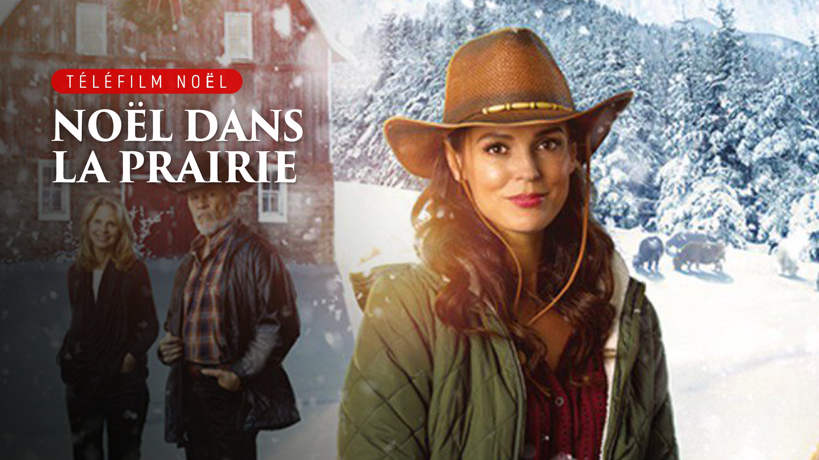 Noël dans la prairie sur 6play voir les épisodes en streaming