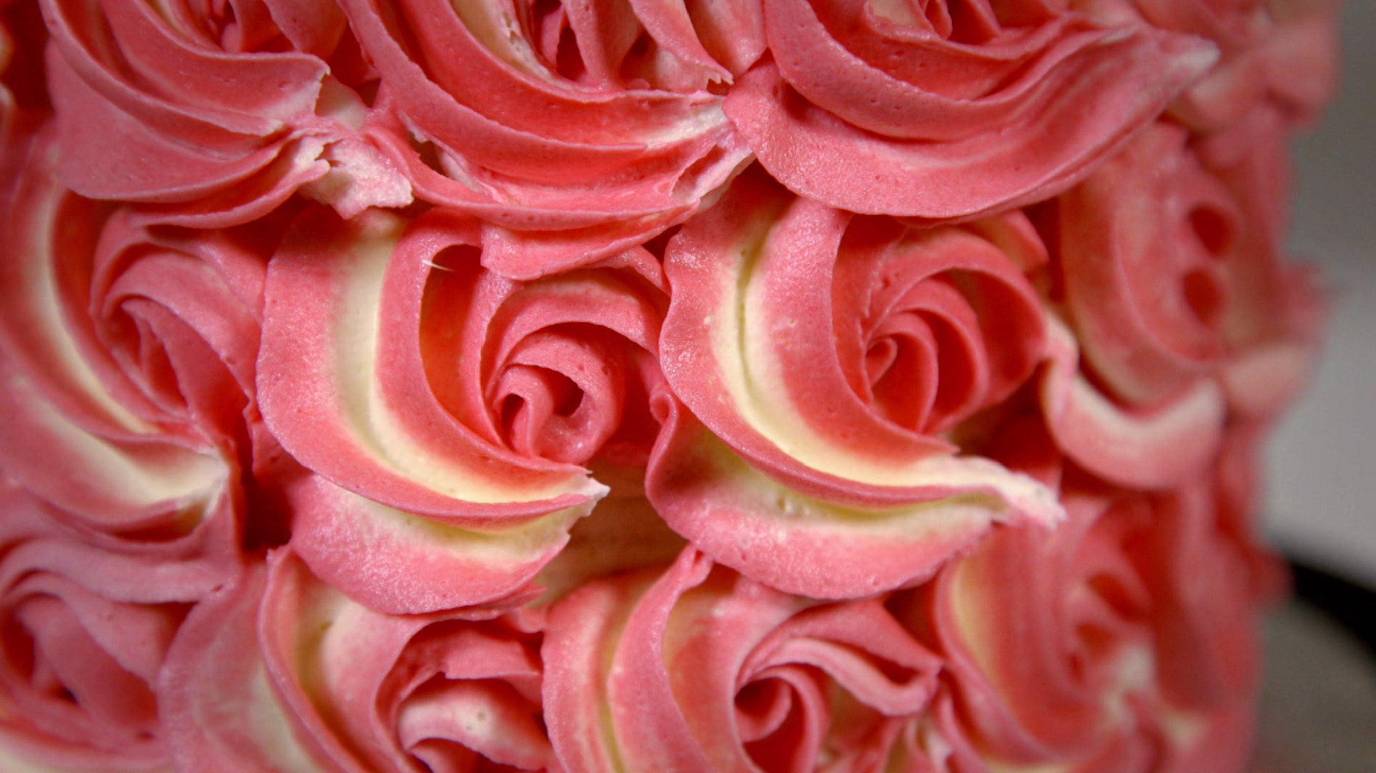 Incroyables Gateaux Sur 6play Voir Les Episodes En Streaming