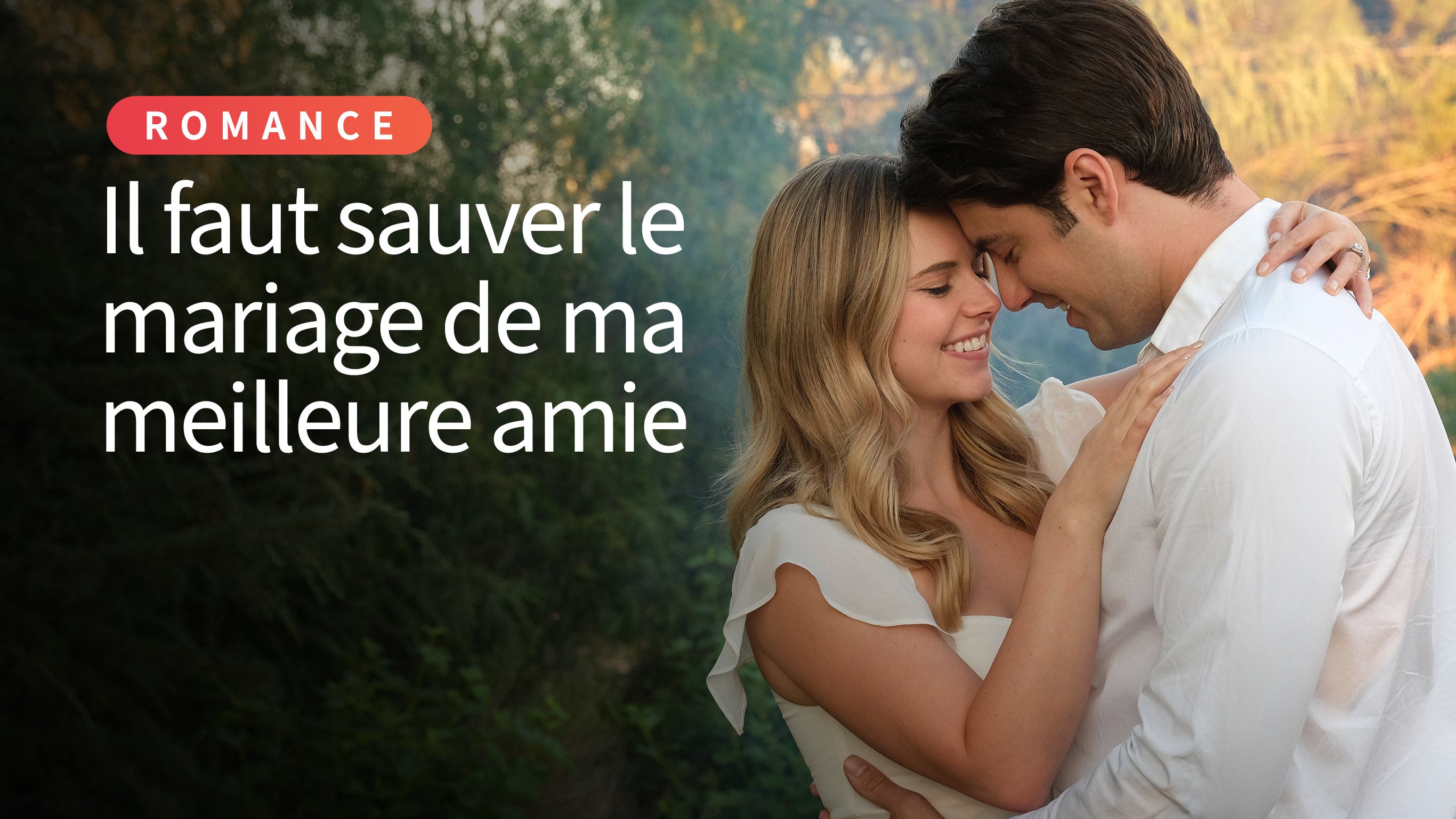 Il Faut Sauver Le Mariage De Ma Meilleure Amie