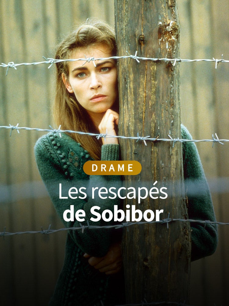 Telefilms Sur 6play Replay En Streaming