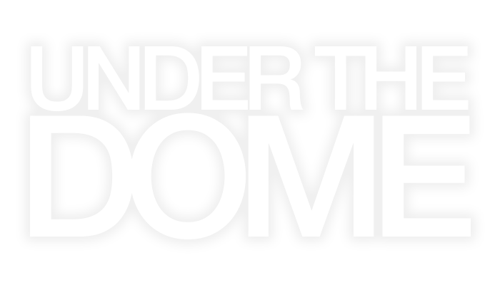 Program - logo - 20091