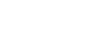 logo intelligence png.png
