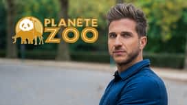 Planète zoo en replay