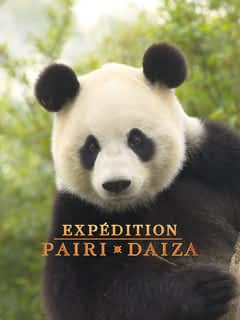 Expédition Pairi Daiza
