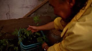 Agriculture urbaine en Colombie