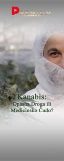 Kanabis: Opasna droga ili medicinsko čudo?