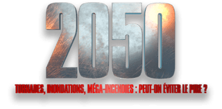 Program - logo - 20811