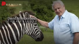 David Attenborough: Čuda prirode en replay