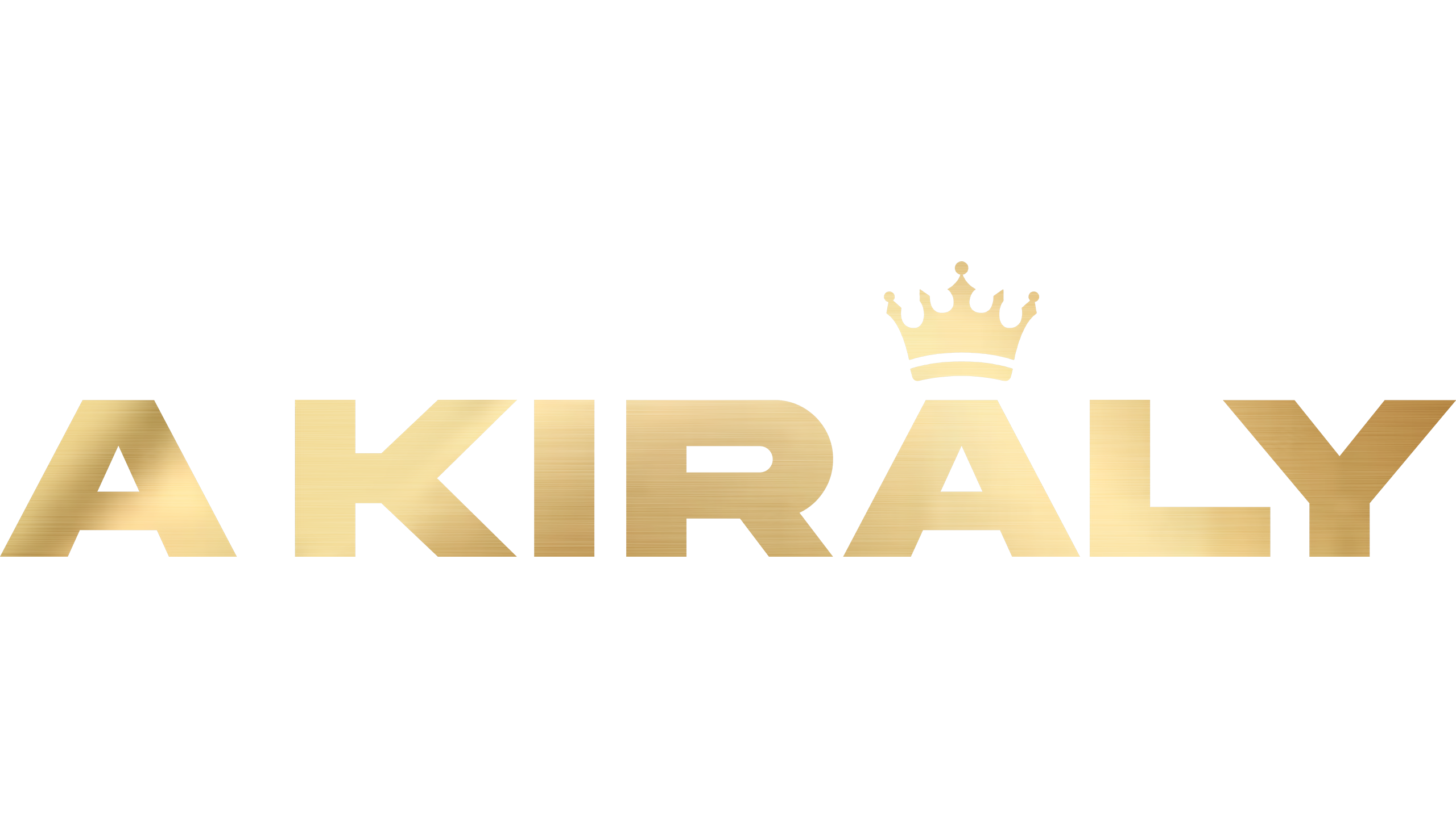 Program - logo - 22934