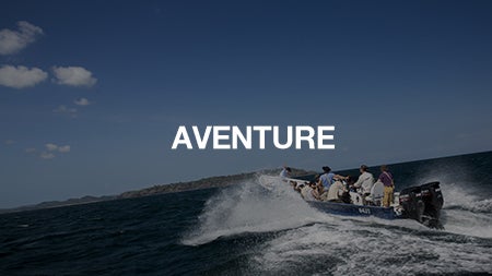 L'aventure