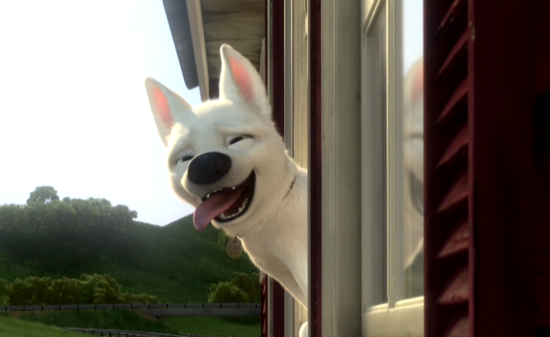 Bande-annonce 6ter : Volt, star malgré lui - dimanche 18 décembre 