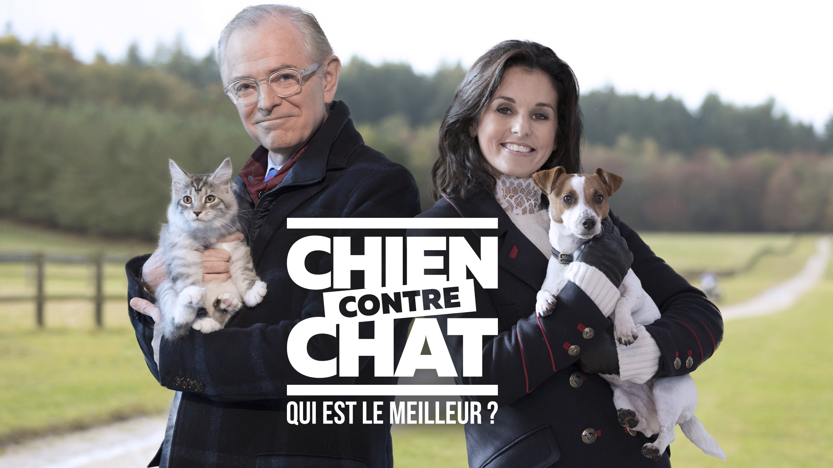 Chien Contre Chat Qui Est Le Meilleur Sur 6play Voir