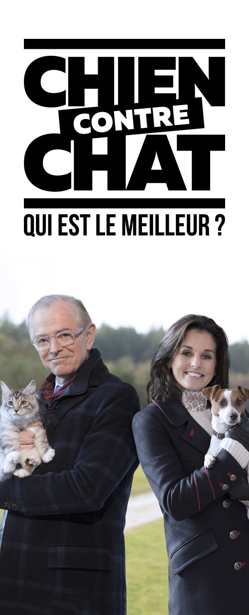 Chien Contre Chat Qui Est Le Meilleur Sur 6play Voir