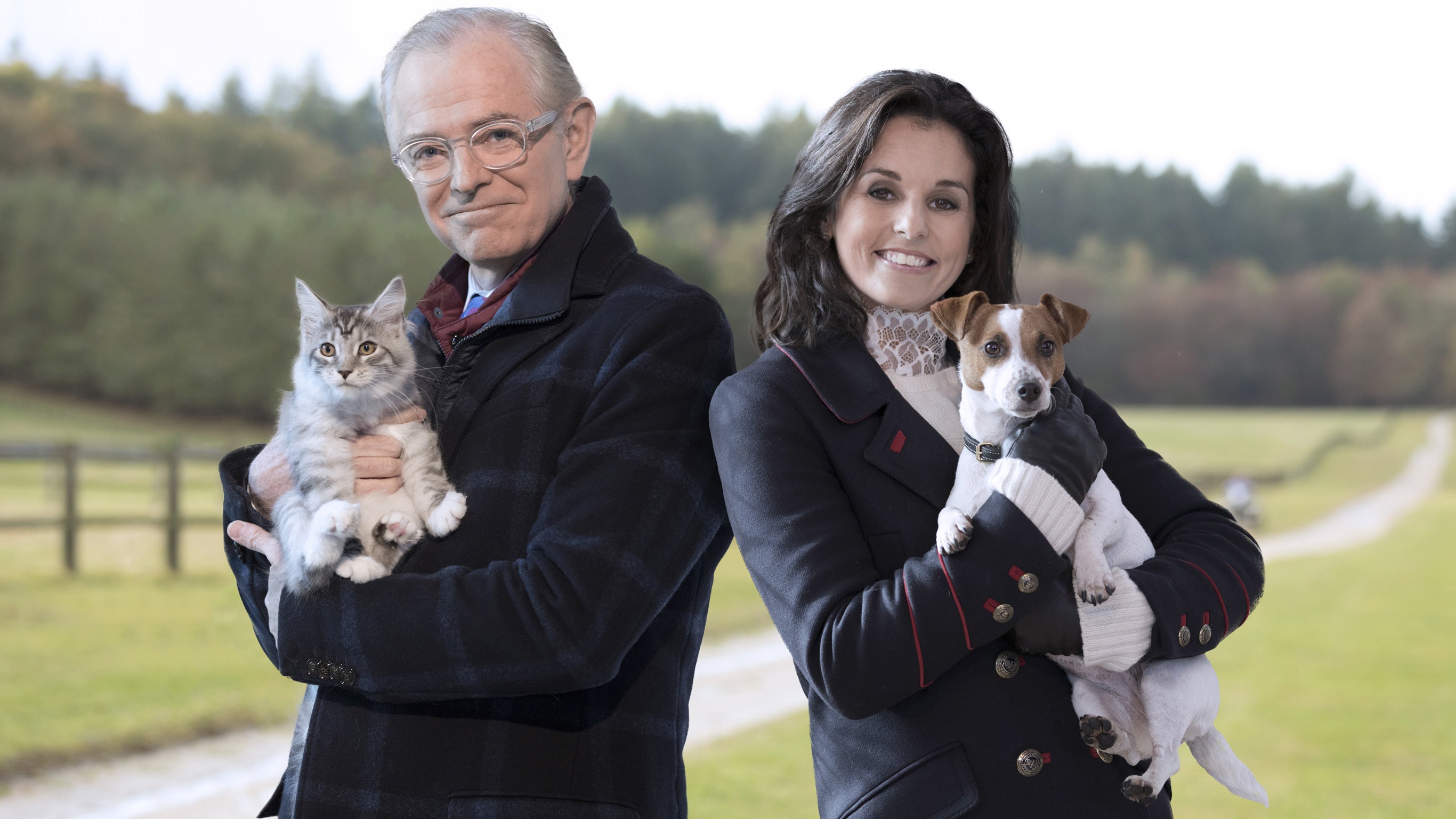 Chien Contre Chat Qui Est Le Meilleur Sur 6play Voir Les Episodes En Streaming