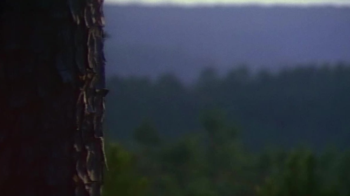 Sydney Fox l'aventurière : Saison 2 épisode 22