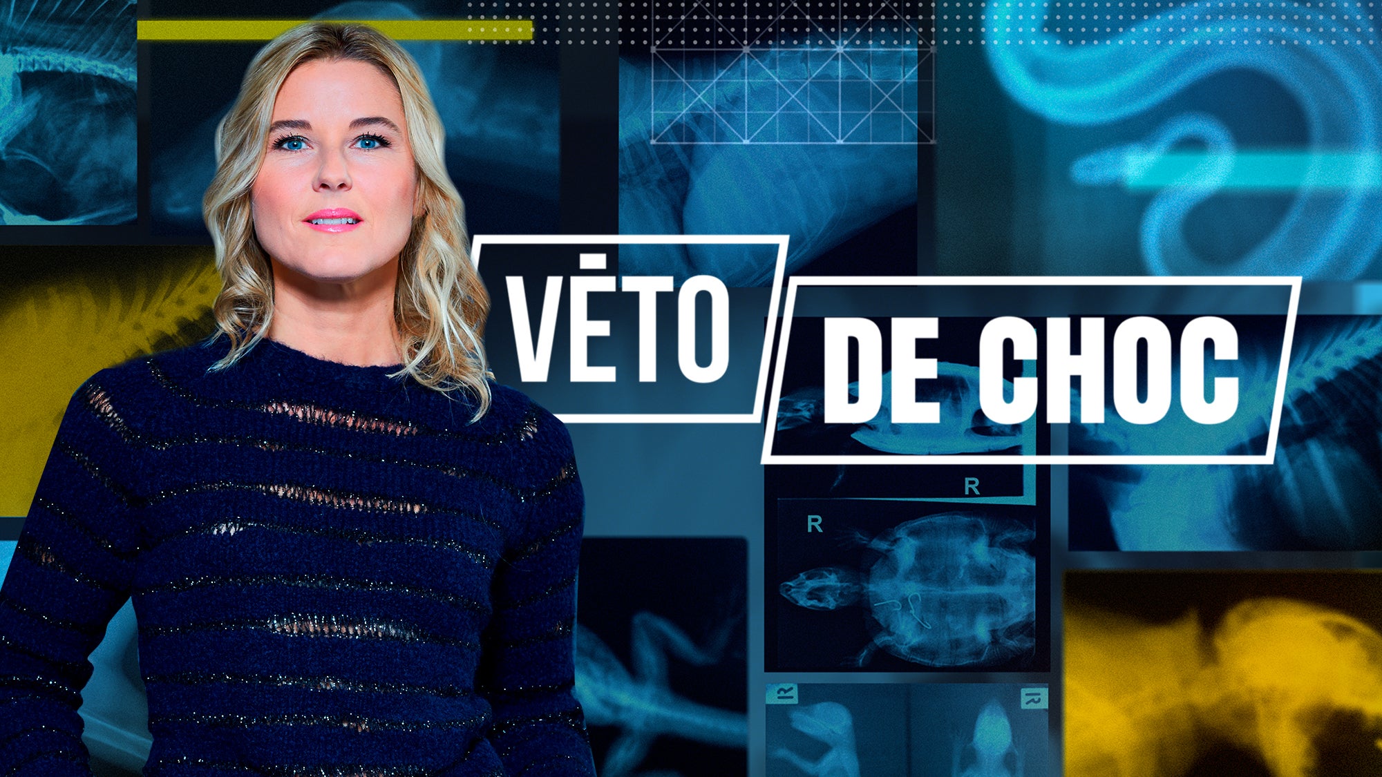 Véto de choc